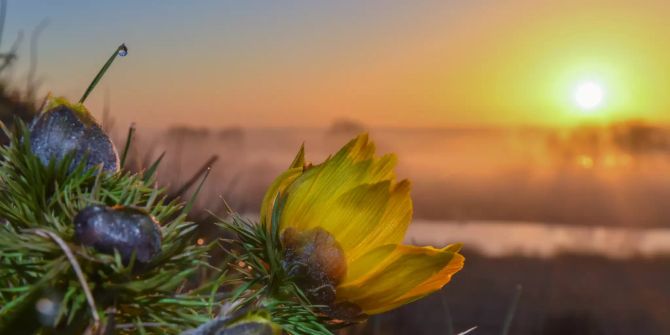 Wetter Frühling