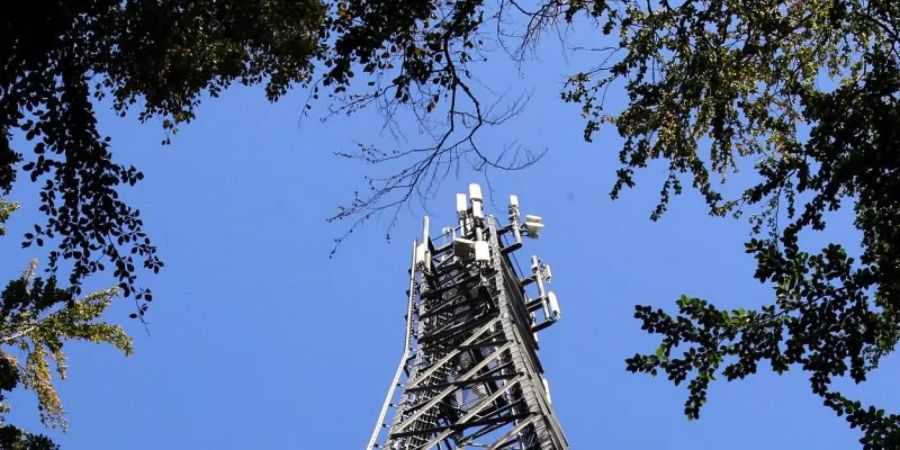 Ein Vodafone-Funkturm in einem Waldstück in Heiligendamm, Mecklenburg-Vorpommern. Foto: Bernd Wüstneck/dpa-Zentralbild/dpa