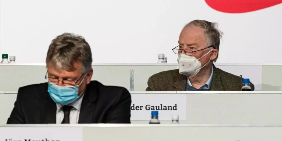 Meuthen und Gauland auf dem AfD-Parteitag