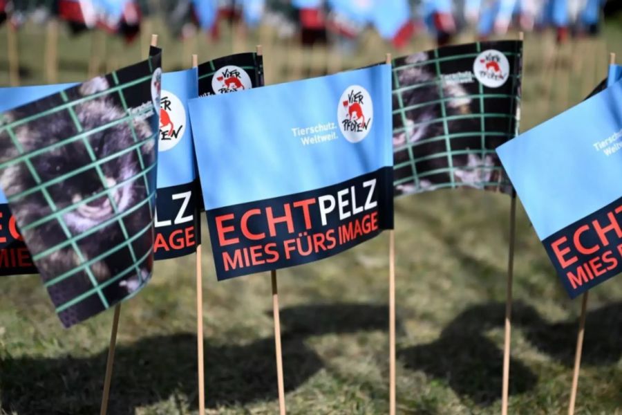 Auf den Flaggen stand der Slogan «Echtpelz – echt mies fürs Image».