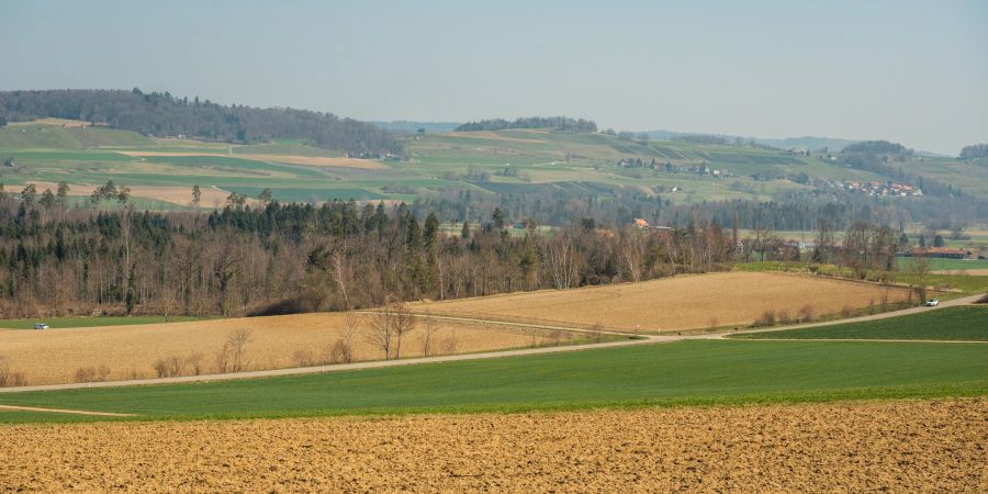 Landwirtschaft bei Thalheim an der Thur.