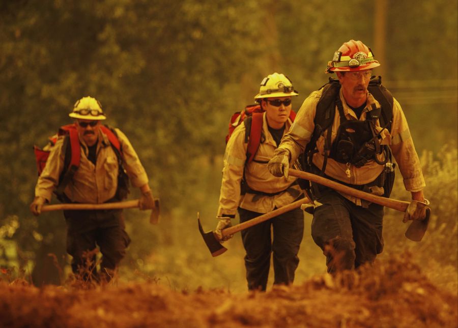 Feuerwehrmänner kämpfen an der Grenze des Sierra Nationalparks in Kalifornien gegen die Waldbrände.