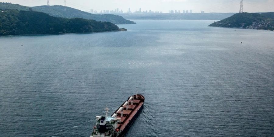 Schiff mit ukrainischem Getreide auf dem Weg in die Türkei