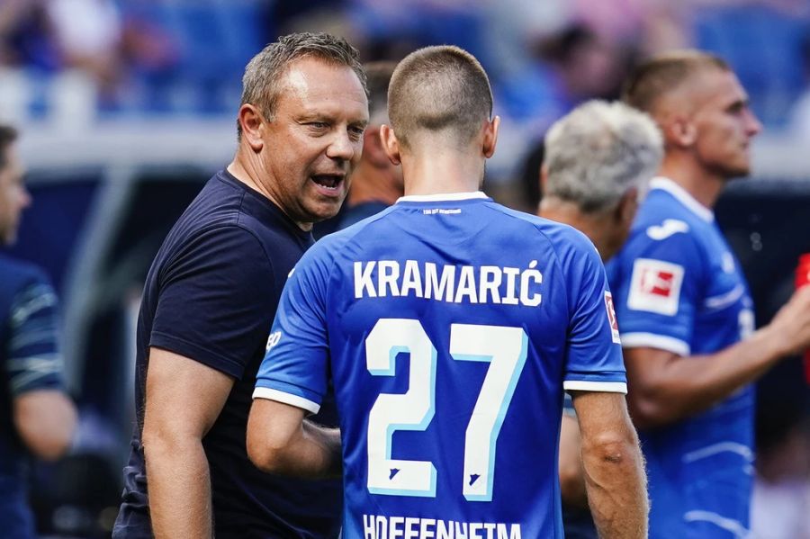 André Breitenreiter FCZ Hoffenheim