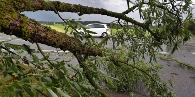 Ein Auto fährt hinter einem vom Sturm umgeknickten Baum bei Biessenhofen im Ostallgäu. Foto: Karl-Josef Hildenbrand
