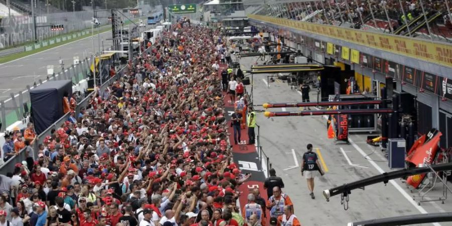 Rot ist beim Grossen Preis von Italien in Monza die beherrschende Farbe. Foto: Luca Bruno/AP