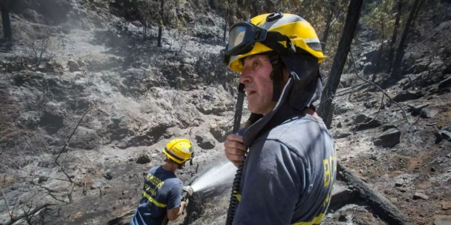 Feuerwehrleute nahe Tejeda am Dienstag