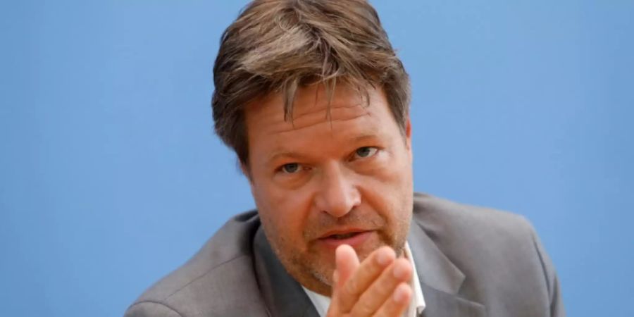 Grünen-Chef Habeck