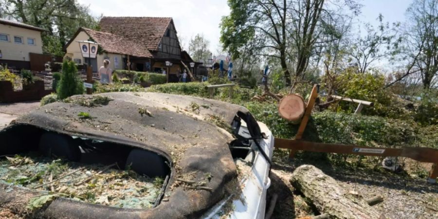 Umgestürzter Baum im bayerischen Alzenau