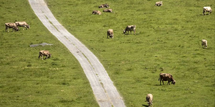 Landwirtschaft Ökologie