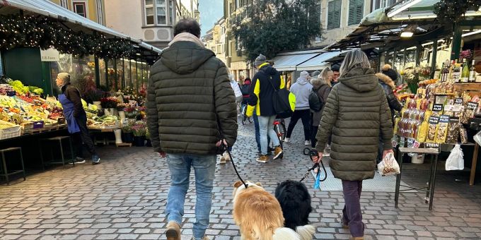 Ist das Häufchen per DNA-Abgleich erstmal identifiziert, könnte das in Bozen für Hundebesitzer bald sehr teuer werden. hund