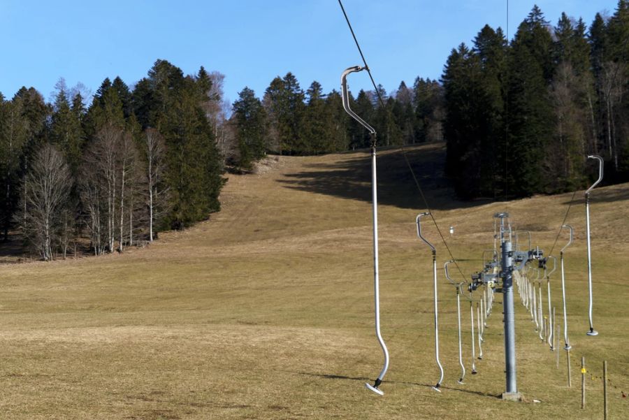 Grün so weit das Auge reicht – am Montag im Skigebiet Bugnenets Savagnieres JU.