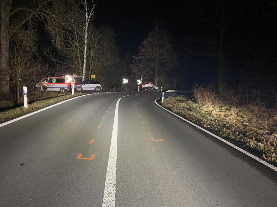 Der Autofahrer wurde beim Unfall erheblich verletzt.