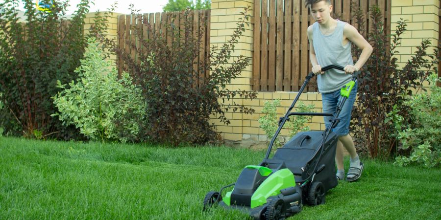 Für Jugendliche gibt es zahlreiche Möglichkeiten, mit einem kleinen Business Geld zu verdienen.