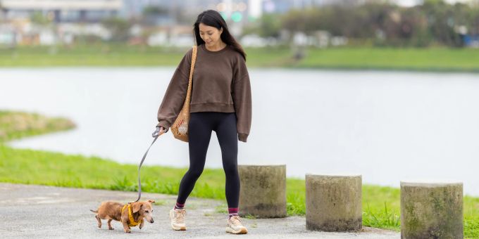 Auch in der Stadt braucht ein Hund natürlich regelmässig Auslauf. Frauchen mit Hund