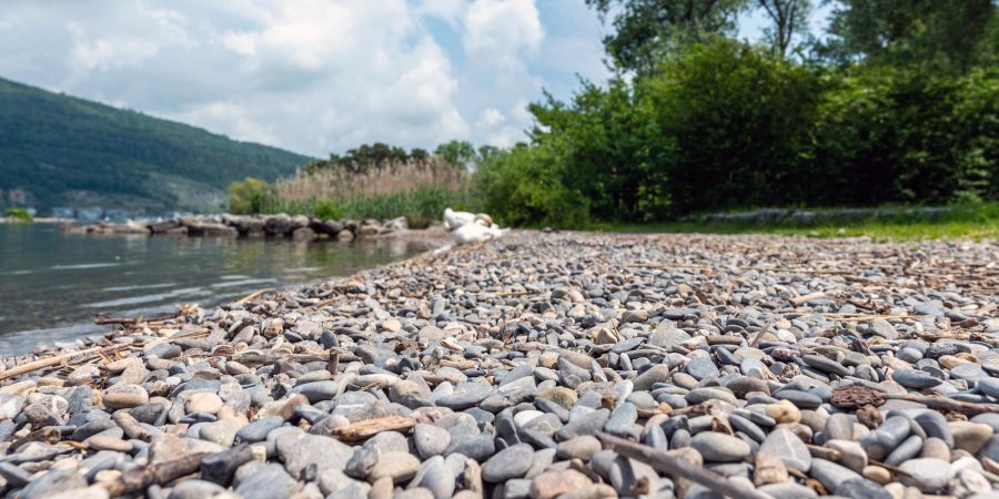 Der Bielersee bei Ipsach Strandboden.