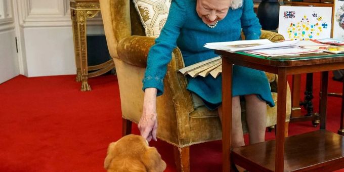 Sie liebte Corgis - Jetzt soll sich Andrew um die Queen-Hunde kümmern