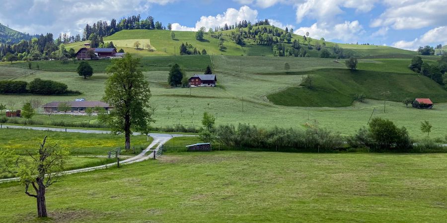 Entlebucher Landschaft aus dem Zug heraus gesehen.