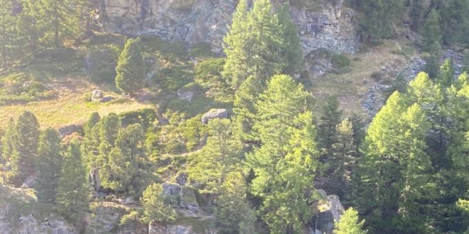 Ein Mountainbike-Trip endet tödlich. zermatt vs mountainbike