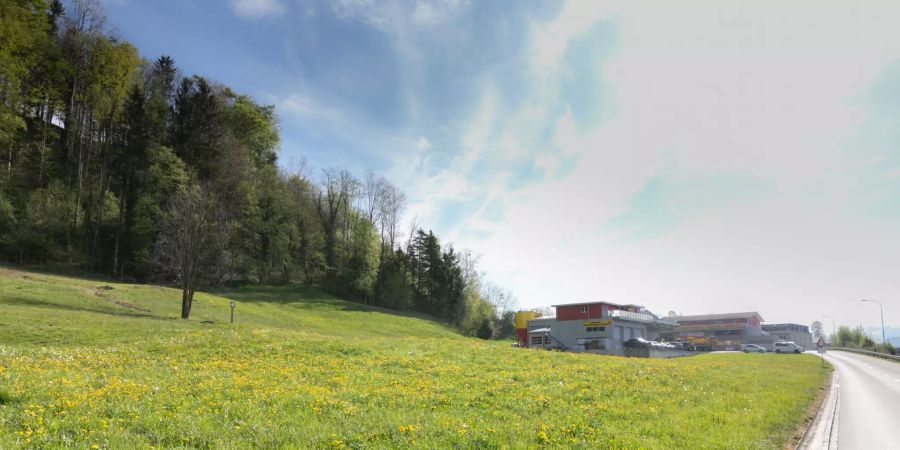 Einfahrtsstrasse Richtung Wangen (SZ).