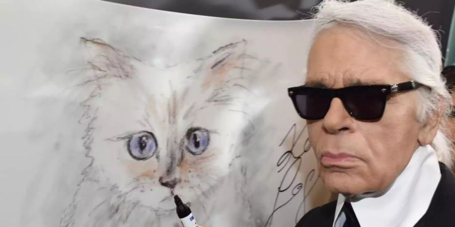 Der Modedesigner Karl Lagerfeld steht 2015 bei der Vernissage «Corsa Karl und Choupette» für seinen Fotokalender im Palazzo Italia an einer Zeichnung seiner Katze. Foto: Jens Kalaene/dpa-Zentralbild/dpa