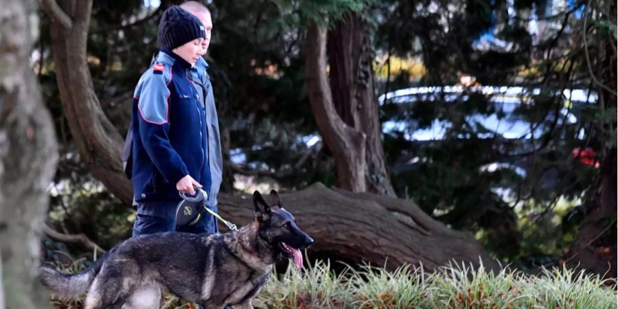 Die Kantonspolizei Zürich war im Wald im Einsatz.