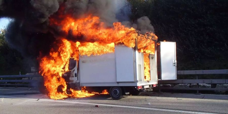 Ein Pferdetransporter brennt am Dienstagnachmittag aus. Die beiden Pferde konnten gerettet werden.