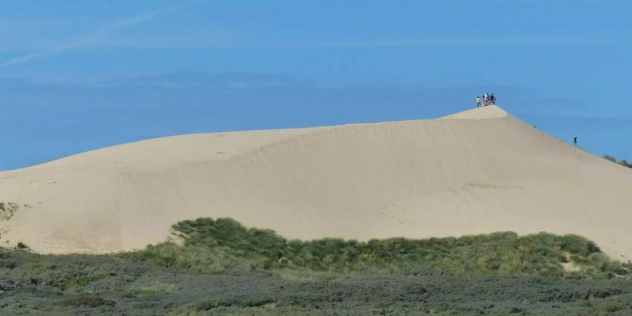 Eine Düne an der dänischen Nordseeküste.