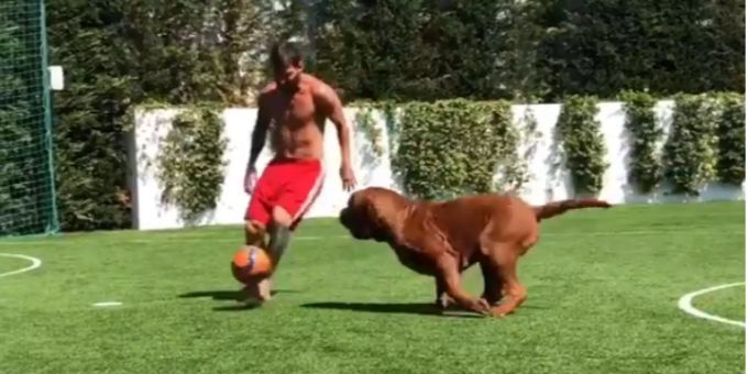 Ferienbeschäftigung - Messi spielt seinen Hund schwindlig