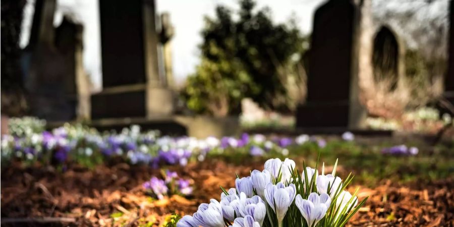 Auf einem Friedhof in Losheim (D) will ein Mann Klopfgeräusche gehört haben.