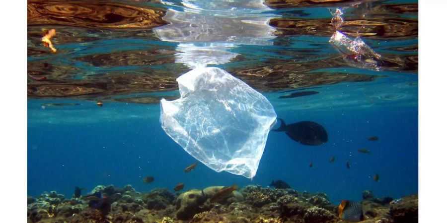 Der WWF fordert eine globale Antwort auf das Plastikmüllproblem im Mittelmeer.