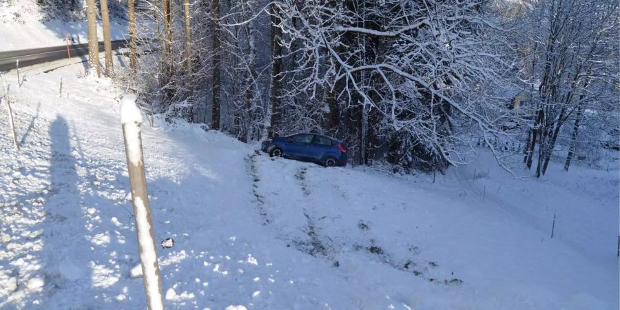 Von der Strasse abgekommen und ins Tobel geschlittert in Herisau AR