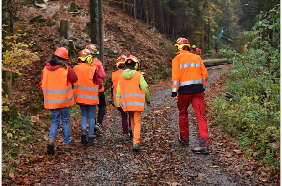 Zusammen mit Forstingenieur Crottocini besuchen die Mädchen eine Equipe beim Holzen.