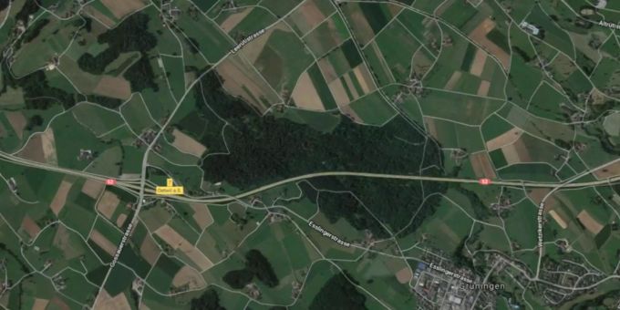 Grüningen und Gossau ZH - Ganzer Wald soll Deponie weichen