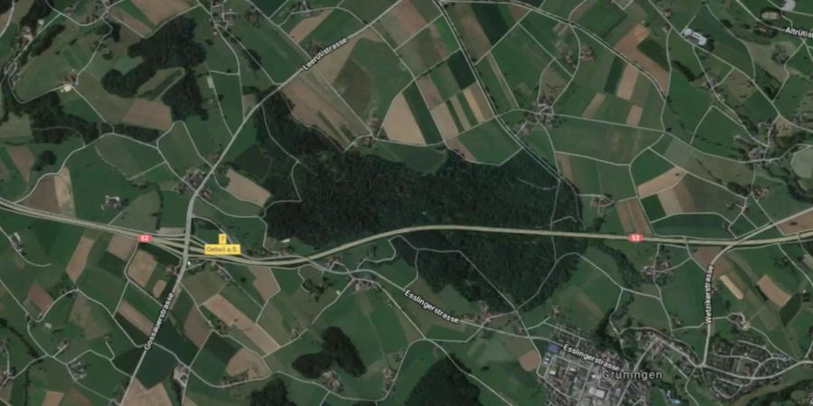 Der Tägernauer Wald zwischen Grüningen und Gossau ZH soll für eine Deponie abgeholzt werden.