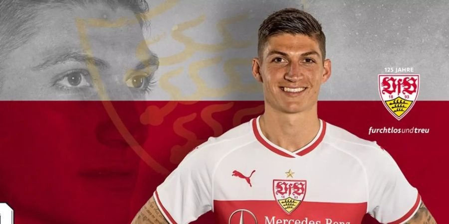 Steven Zuber Bundesliga