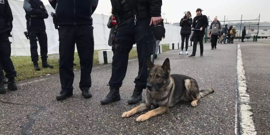 Polizeihunde der Kapo Zürich stehen am WEF im Einsatz.