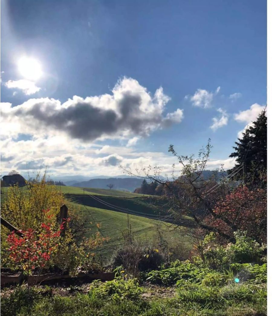 Ein Blick vom Gartenplätzchen ins Grüne in Utzigen BE.