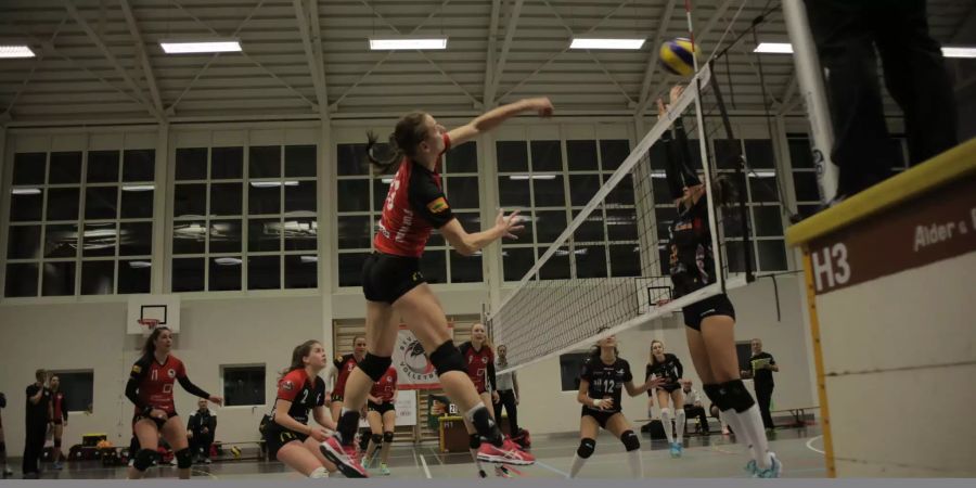 Damen 1 vs Volley Lugano.jpg