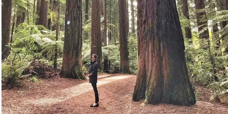 Meghan Markle steht im Wald und hält strahlend ihren Baby-Bauch. Das Foto wurde von Prinz Harry geschossen.