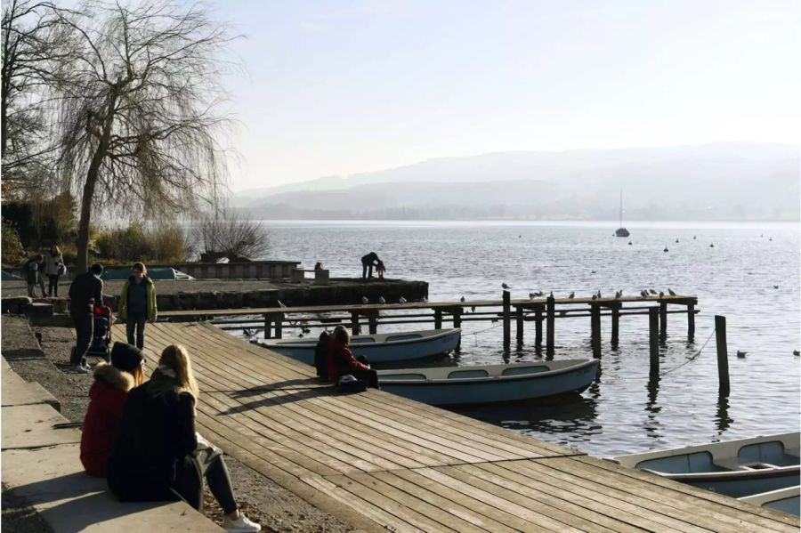 Die Landwirte brauchen zum Bewässern ihrer Felder kein Wasser aus dem Greifensee mehr - Keystone