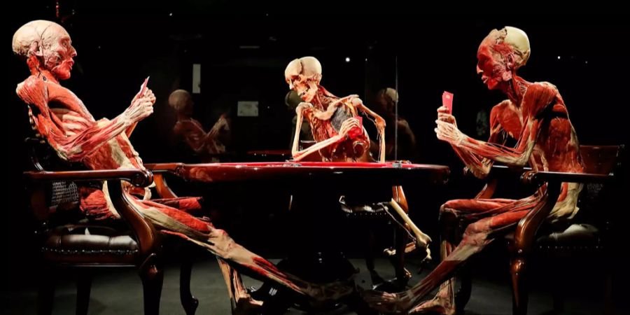 Gunther von Hagens «Poker Playing Trio» in Hagens Body-Worlds-Museum in London.