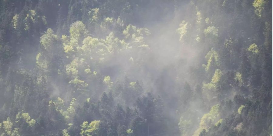 Ein Pollensturm bei Erstfeld im Urner Reusstal.