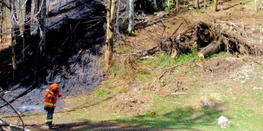 Ein Landwirt hat in Unterwasser SG einen Waldbrand ausgelöst.