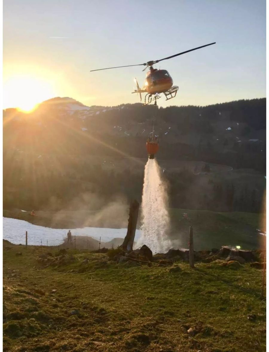 Der Helikopter musste 2000 Quadratmeter in Brand geratene Waldfläche löschen.