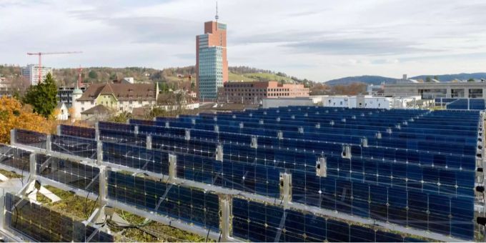 ZHAW-Forschende haben senkrechte Solarpanels getestet. ZHAW-Forschende haben senkrechte Solarpanels getestet.