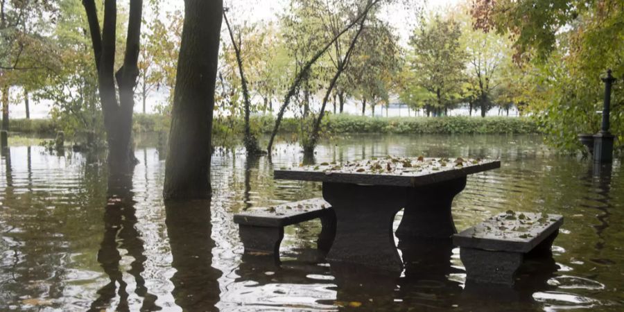 Regen