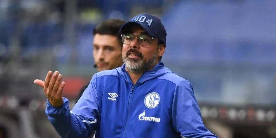 Schalkes Cheftrainer David Wagner will den Problemen auf den Grund gehen. Foto: Arne Dedert/dpa