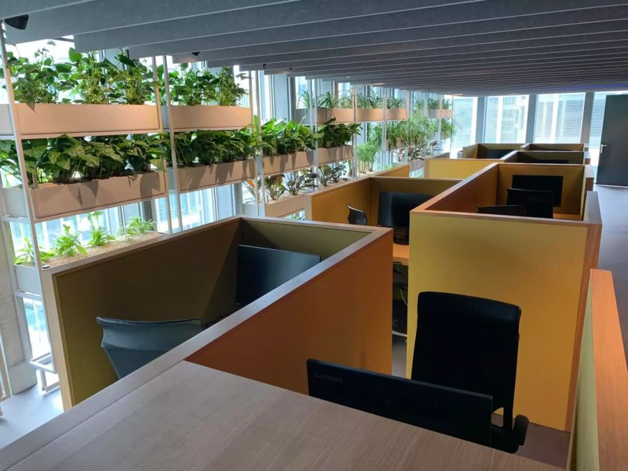 Die «Homebase» bietet Platz für rund 600 Mitarbeitende.