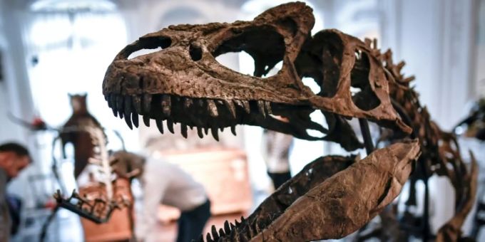 Die Dinosaurier starben vor 66 Millionen Jahren aus Die Dinosaurier starben vor 66 Millionen Jahren aus